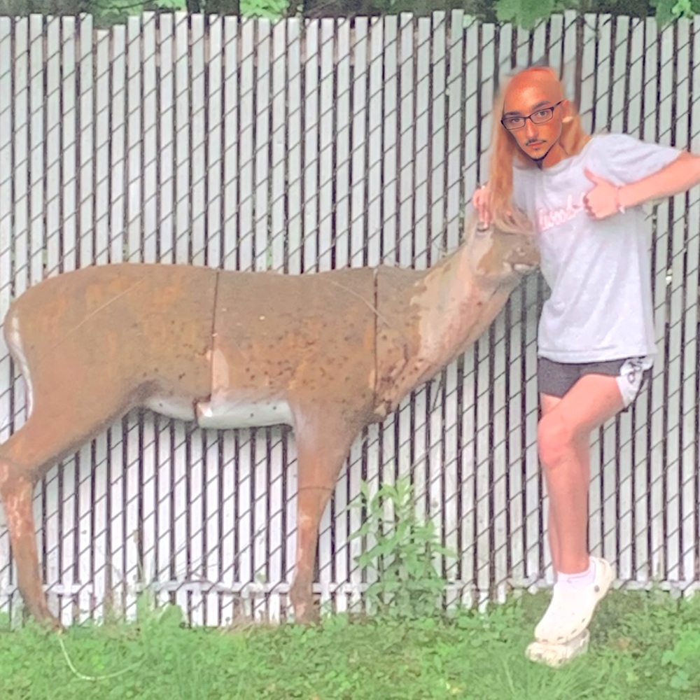 Deer